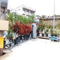 軟水機浄水器導入実績：Villa Motobu Hills（本部町：貸別荘、コテージ、宿泊施設）
