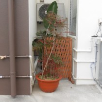 軟水機導入実績：読谷村Ｓ様宅　新築住宅